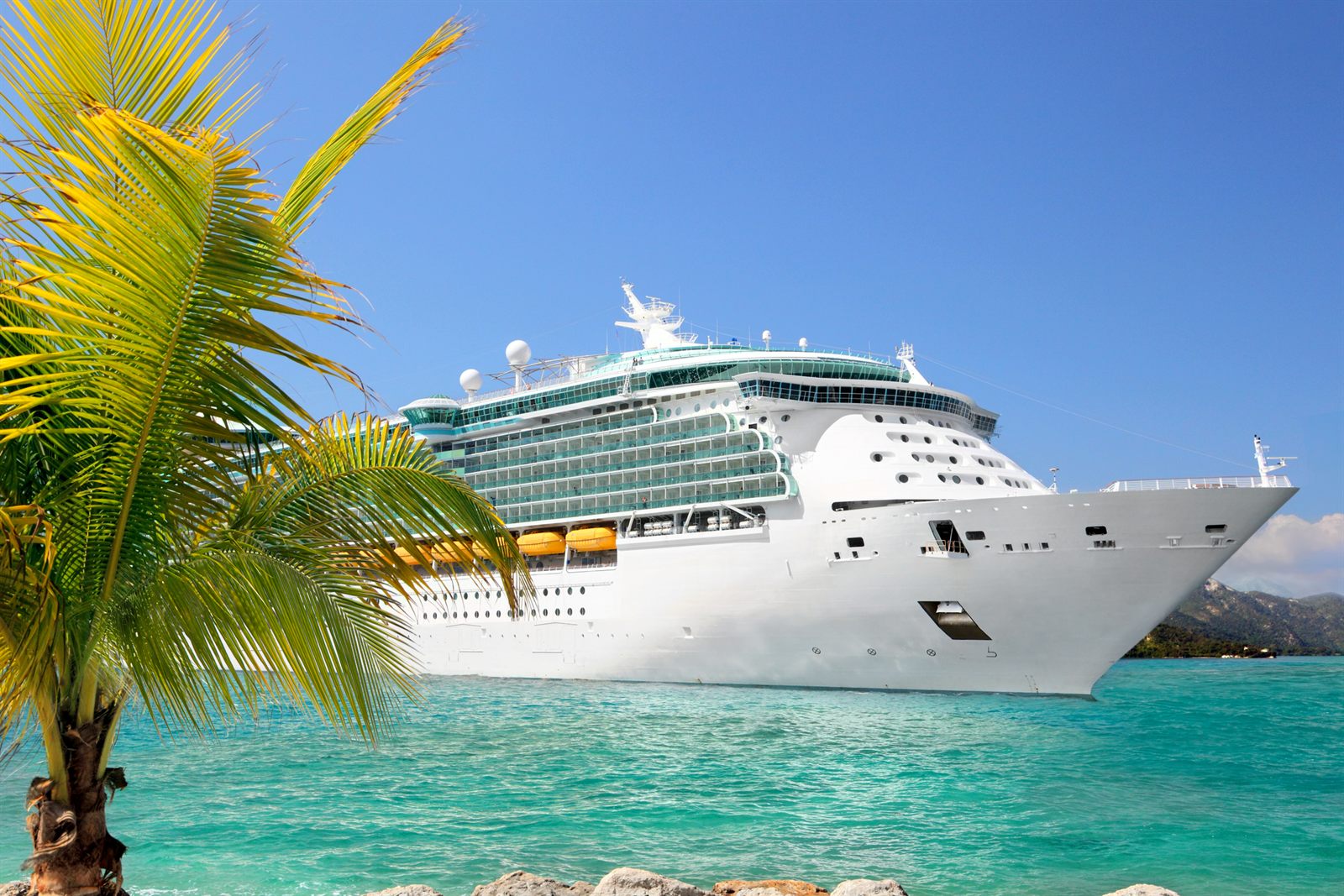 Cruise ship anchored in turquoise water behind a palm tree