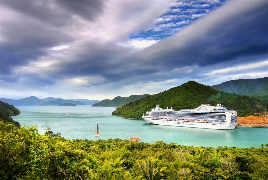 Cruise ship sailing through a green bay